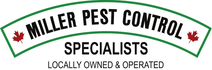 Peterborough Pest Control