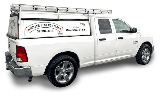 Pest Control Services Truck